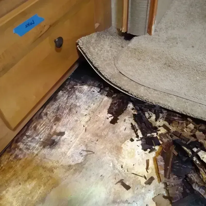 Best Wood Floor Water Damage Service in East Gaffney, SC